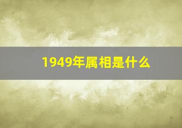 1949年属相是什么