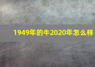 1949年的牛2020年怎么样