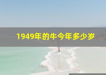 1949年的牛今年多少岁