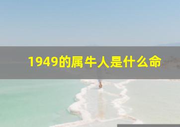 1949的属牛人是什么命