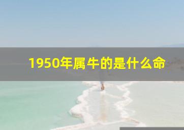 1950年属牛的是什么命