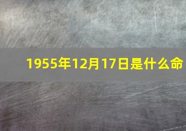 1955年12月17日是什么命