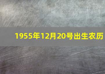 1955年12月20号出生农历