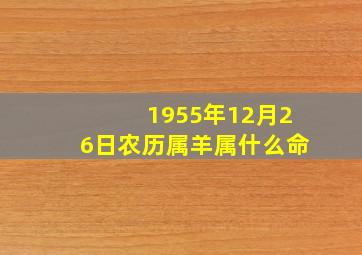 1955年12月26日农历属羊属什么命