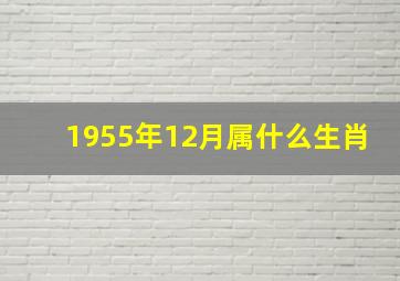 1955年12月属什么生肖