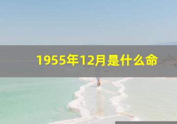 1955年12月是什么命