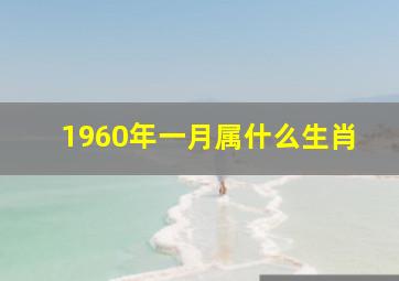 1960年一月属什么生肖