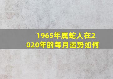 1965年属蛇人在2020年的每月运势如何