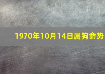 1970年10月14日属狗命势