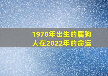 1970年出生的属狗人在2022年的命运