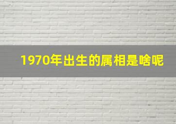 1970年出生的属相是啥呢