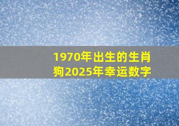 1970年出生的生肖狗2025年幸运数字