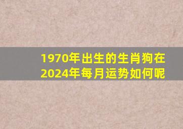 1970年出生的生肖狗在2024年每月运势如何呢