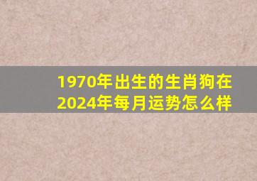 1970年出生的生肖狗在2024年每月运势怎么样