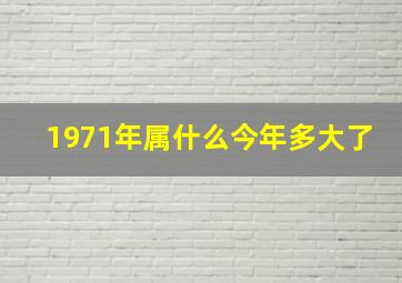 1971年属什么今年多大了