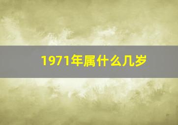 1971年属什么几岁