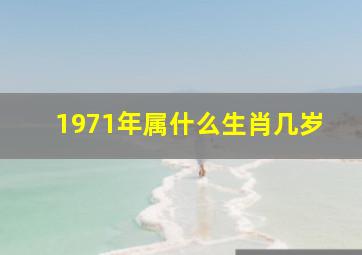 1971年属什么生肖几岁