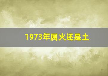 1973年属火还是土