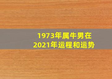 1973年属牛男在2021年运程和运势