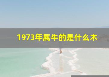 1973年属牛的是什么木