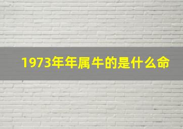 1973年年属牛的是什么命