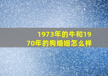 1973年的牛和1970年的狗婚姻怎么样