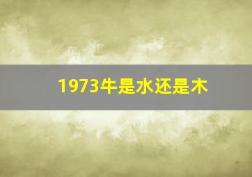 1973牛是水还是木