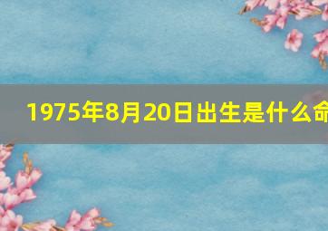 1975年8月20日出生是什么命