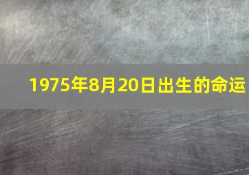 1975年8月20日出生的命运