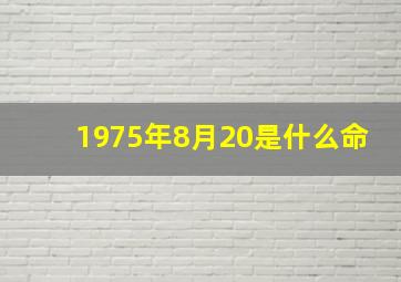 1975年8月20是什么命