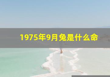 1975年9月兔是什么命