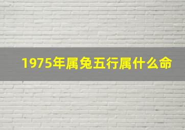 1975年属兔五行属什么命