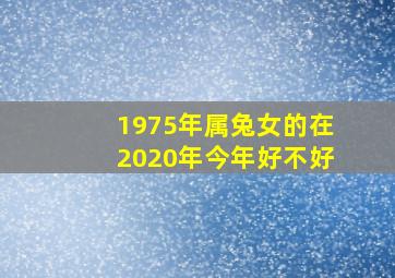 1975年属兔女的在2020年今年好不好