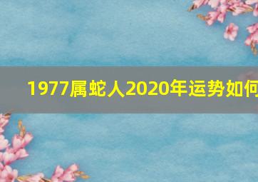 1977属蛇人2020年运势如何