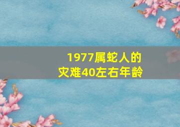 1977属蛇人的灾难40左右年龄