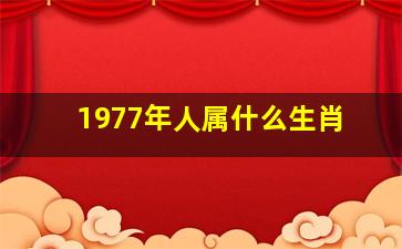 1977年人属什么生肖