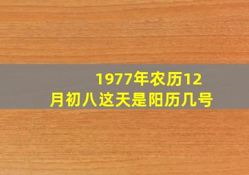 1977年农历12月初八这天是阳历几号