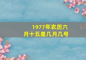 1977年农历六月十五是几月几号