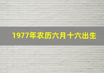 1977年农历六月十六出生