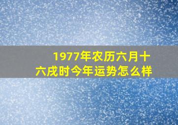 1977年农历六月十六戌时今年运势怎么样