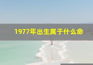 1977年出生属于什么命