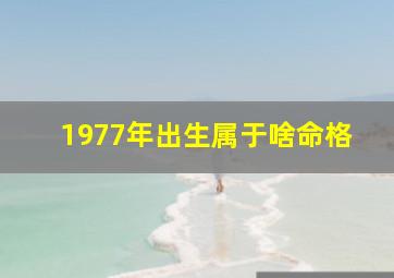 1977年出生属于啥命格