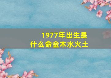 1977年出生是什么命金木水火土