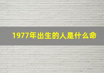 1977年出生的人是什么命