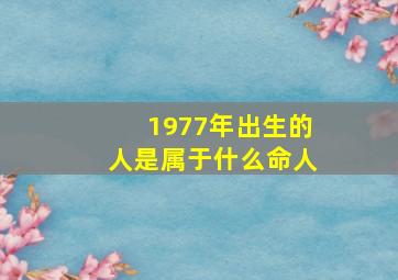 1977年出生的人是属于什么命人