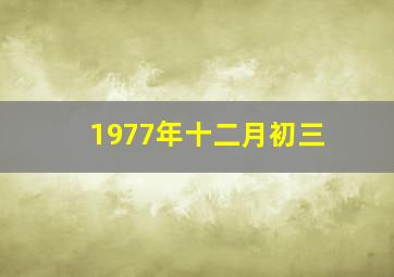 1977年十二月初三