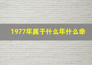 1977年属于什么年什么命