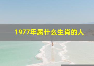 1977年属什么生肖的人