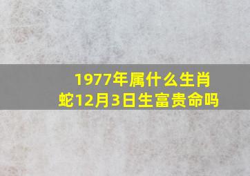 1977年属什么生肖蛇12月3日生富贵命吗