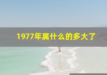 1977年属什么的多大了